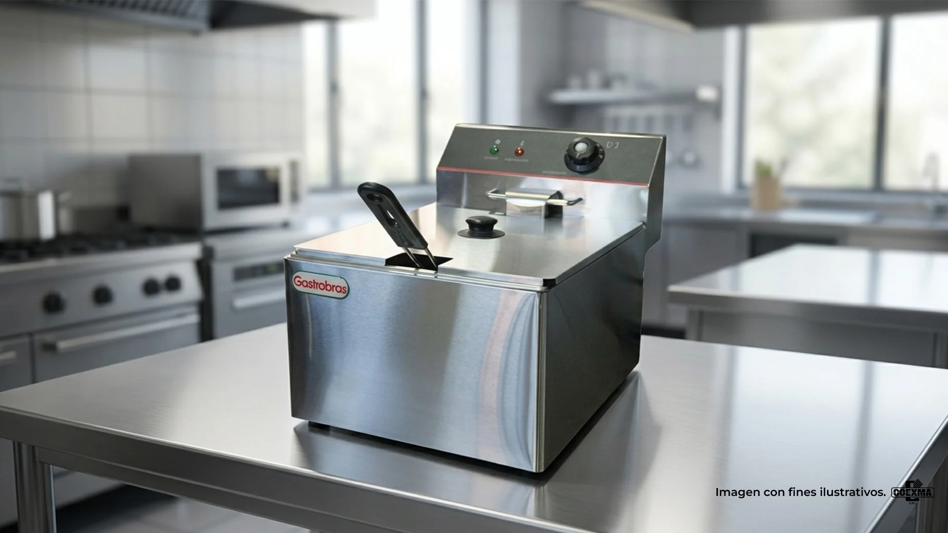 Freidora de Mesa Eléctrica 11 Litros GFEM-11L