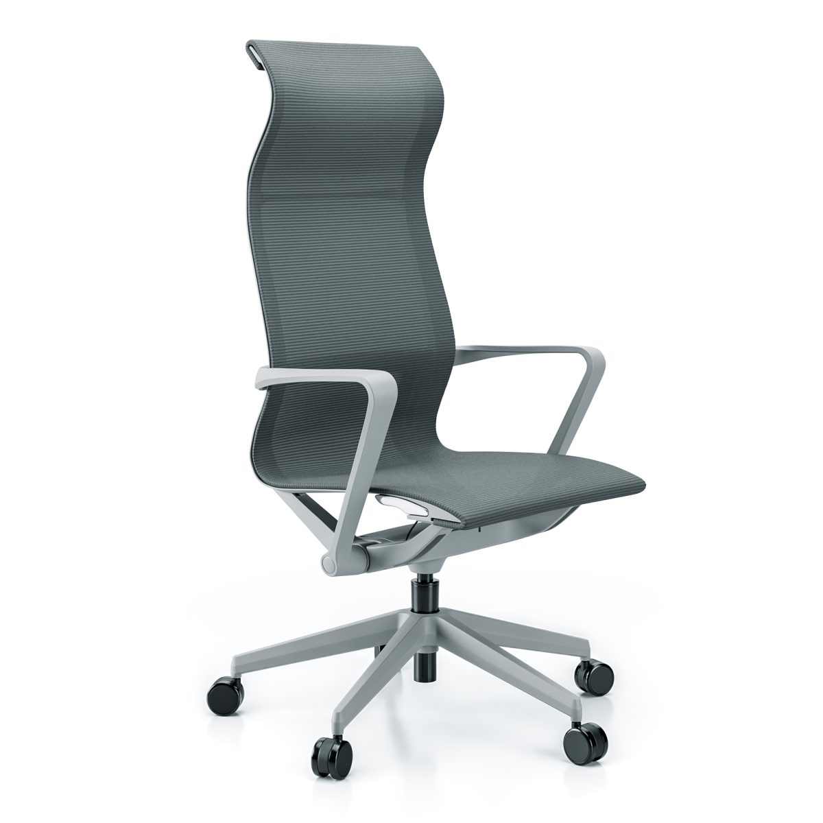 Cavaletti – Aura Presidente 44101